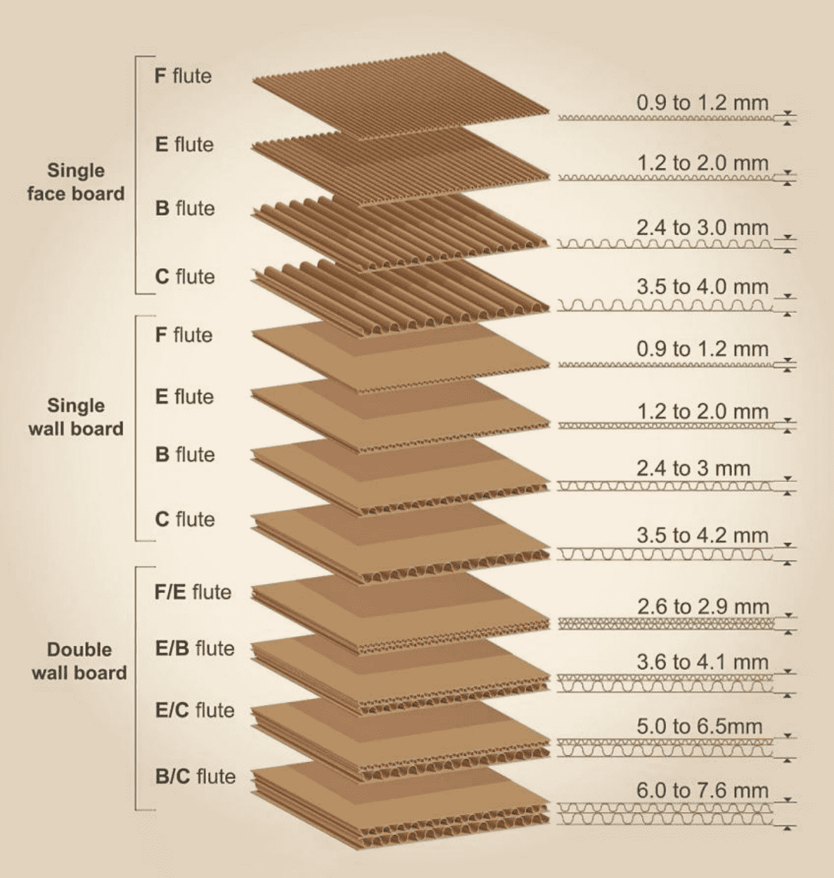 bsfsb (7)